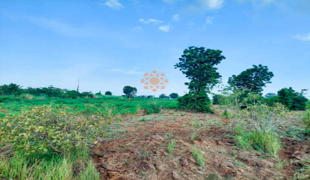 Land for Sale in Siem Reap-Khun Ream